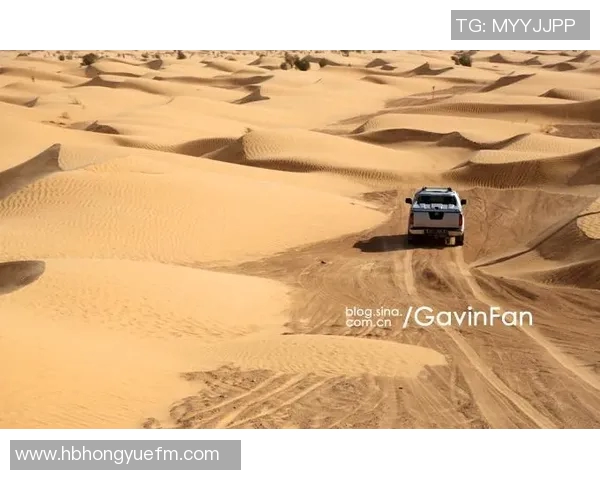 中国与突尼斯激战全场精彩集锦回顾与分析