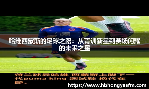 77体育