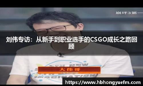 刘伟专访：从新手到职业选手的CSGO成长之路回顾